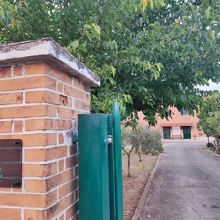 Eco House San Michele Hostel Borgo San Michele  Ngoại thất bức ảnh