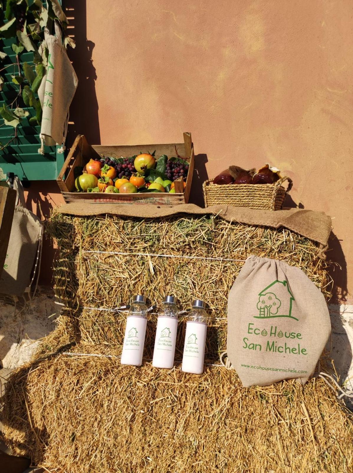 Eco House San Michele Hostel Borgo San Michele  Ngoại thất bức ảnh